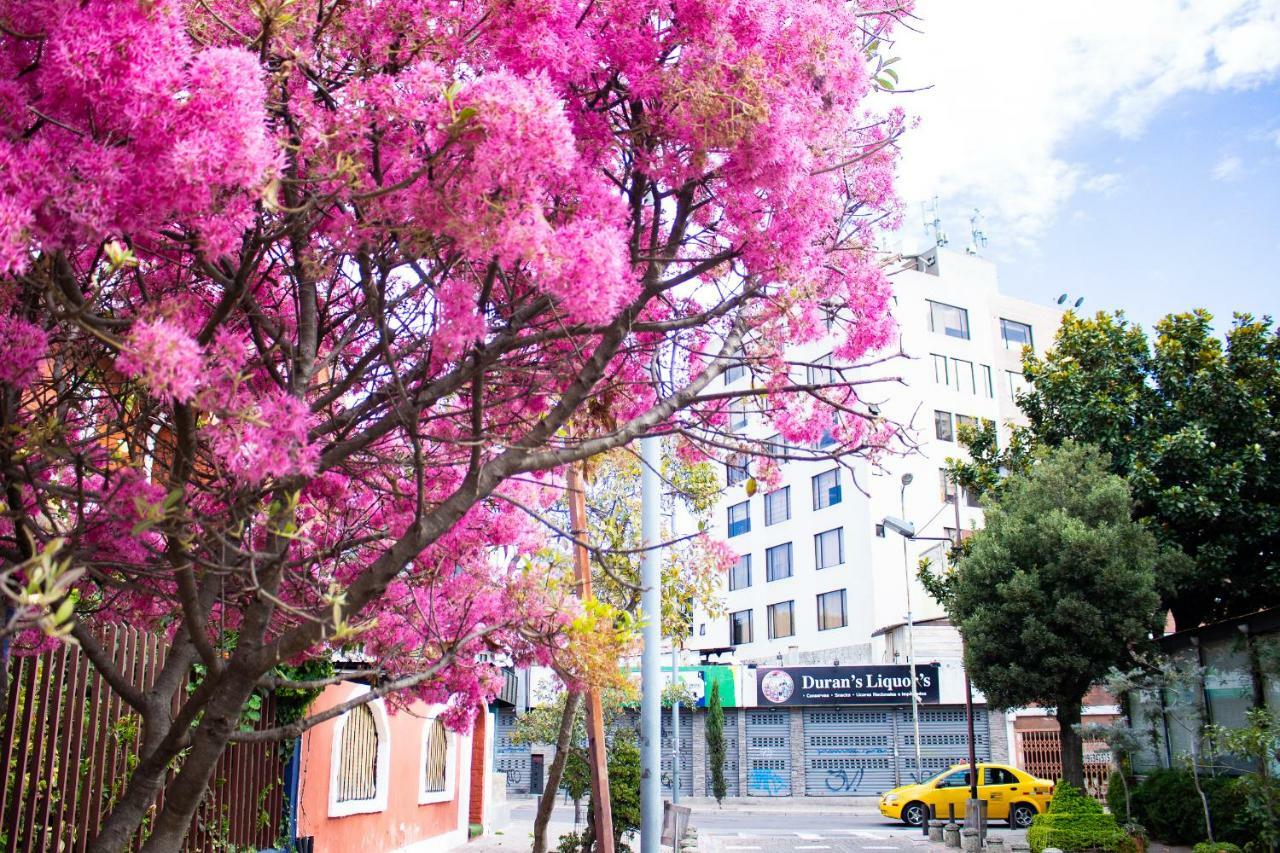 Hostal Loro Verde Quito Exteriör bild